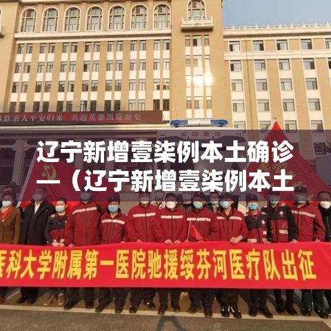 辽宁新增壹柒例本土确诊—(辽宁新增壹柒例本土确诊病例) 辽宁新增壹柒例本土确诊—(辽宁新增壹柒例本土确诊病例)