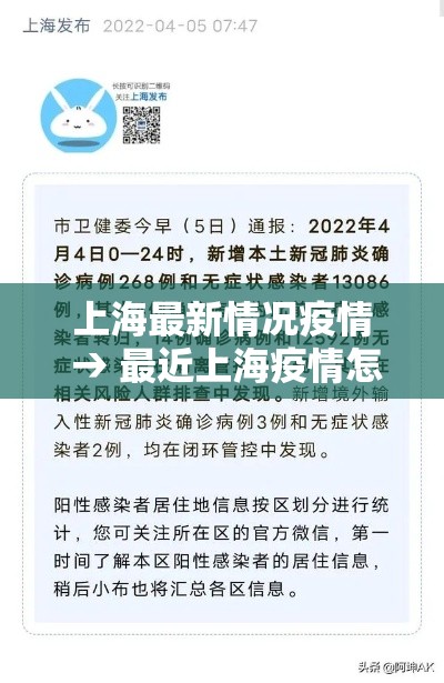 上海最新情况疫情 → 最近上海疫情怎样 上海最新情况疫情 → 最近上海疫情怎样