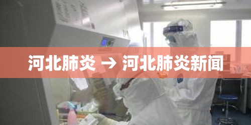 河北肺炎 → 河北肺炎新闻