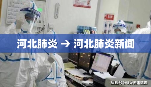 河北肺炎 → 河北肺炎新闻