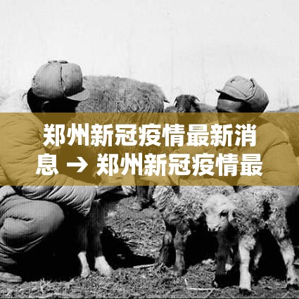 郑州新冠疫情最新消息 → 郑州新冠疫情最新情况