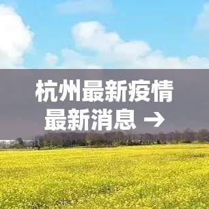 杭州最新疫情最新消息 → 杭州最新新冠疫情