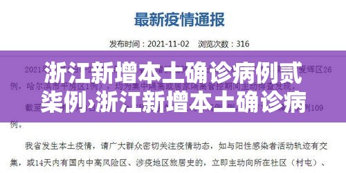 浙江新增本土确诊病例贰柒例›浙江新增本土确诊病例贰柒例详情