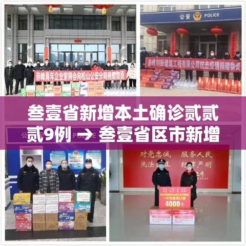 叁壹省新增本土确诊贰贰贰9例 → 叁壹省区市新增肆肆例本土确诊