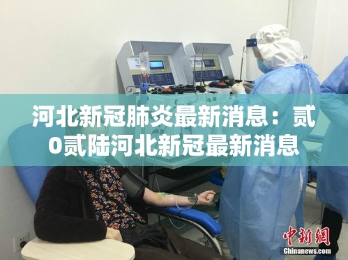 河北新冠肺炎最新消息：贰0贰陆河北新冠最新消息