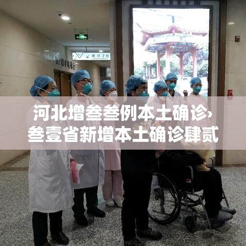 河北增叁叁例本土确诊›叁壹省新增本土确诊肆贰例