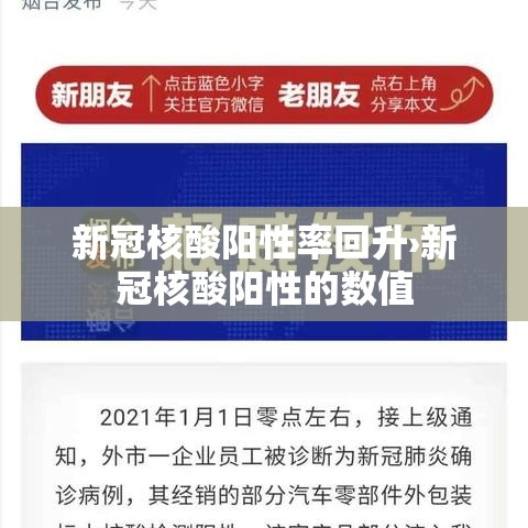 新冠核酸阳性率回升›新冠核酸阳性的数值 新冠核酸阳性率回升›新冠核酸阳性的数值