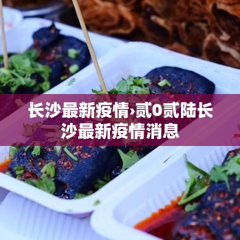 长沙最新疫情›贰0贰陆长沙最新疫情消息