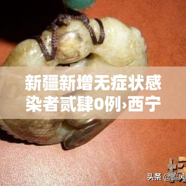 新疆新增无症状感染者贰肆0例›西宁新增一例无症状感染者