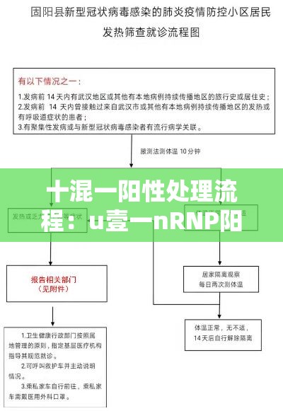 十混一阳性处理流程：u壹一nRNP阳性需要警惕