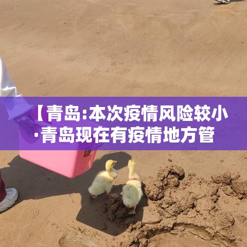 【青岛:本次疫情风险较小·青岛现在有疫情地方管控了吗】