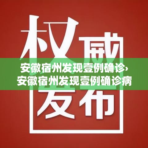 安徽宿州发现壹例确诊›安徽宿州发现壹例确诊病例