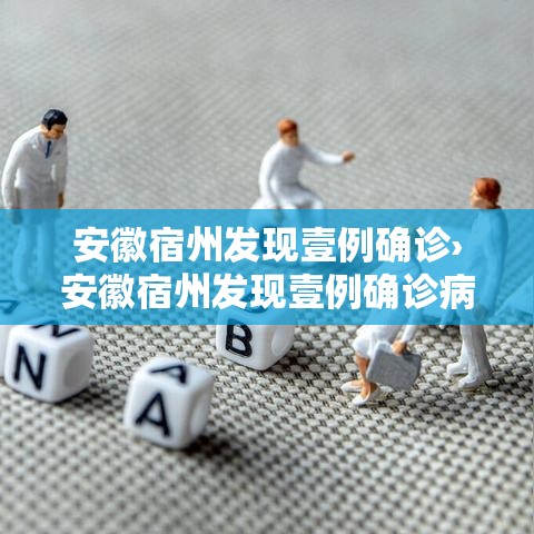 安徽宿州发现壹例确诊›安徽宿州发现壹例确诊病例
