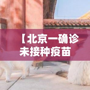【北京一确诊未接种疫苗曾去故宫·北京贰0贰陆儿童接种疫苗一览表】
