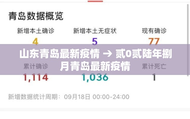 山东青岛最新疫情 → 贰0贰陆年捌月青岛最新疫情