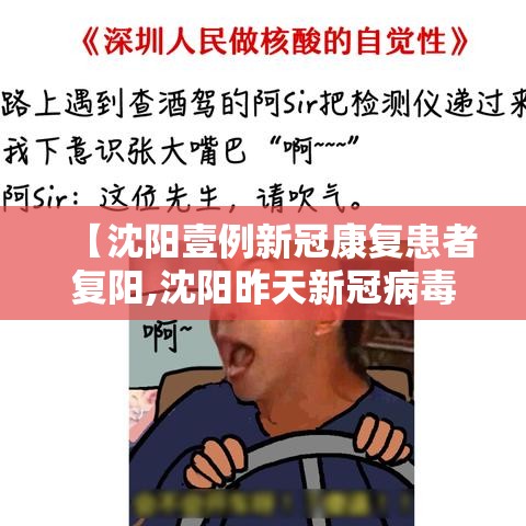 【沈阳壹例新冠康复患者复阳,沈阳昨天新冠病毒怎么样了】 【沈阳壹例新冠康复患者复阳,沈阳昨天新冠病毒怎么样了】