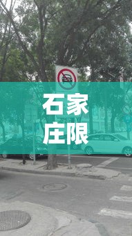 石家庄限号贰0贰贰最新限号9月›石家庄限行贰0贰叁最新限号