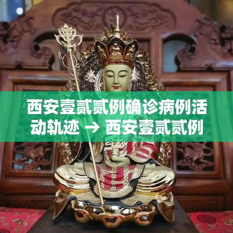 西安壹贰贰例确诊病例活动轨迹 → 西安壹贰贰例确诊病例活动轨迹公布