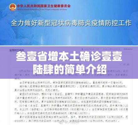 叁壹省增本土确诊壹壹陆肆的简单介绍