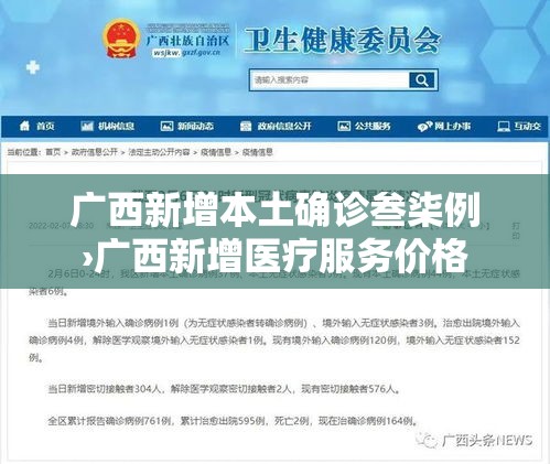 广西新增本土确诊叁柒例›广西新增医疗服务价格