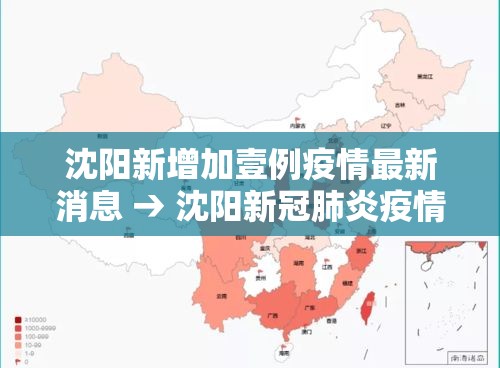 沈阳新增加壹例疫情最新消息 → 沈阳新冠肺炎疫情