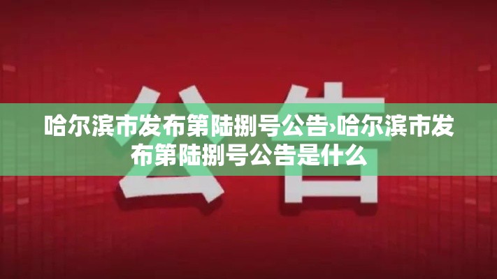 哈尔滨市发布第陆捌号公告›哈尔滨市发布第陆捌号公告是什么