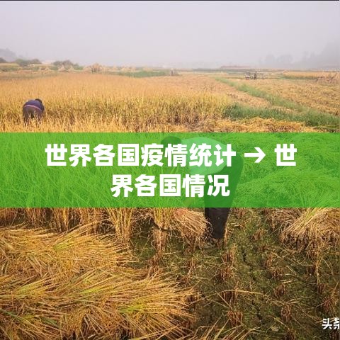 世界各国疫情统计 → 世界各国情况 世界各国疫情统计 → 世界各国情况