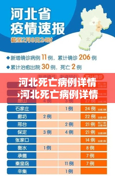 河北死亡病例详情›河北死亡病例详情查询