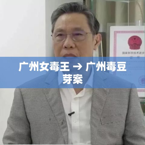 广州女毒王 → 广州毒豆芽案 广州女毒王 → 广州毒豆芽案