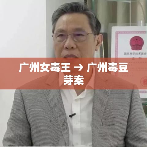 广州女毒王 → 广州毒豆芽案 广州女毒王 → 广州毒豆芽案