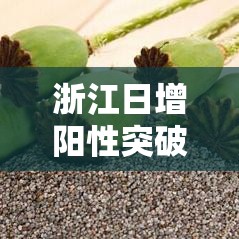 浙江日增阳性突破百万：贰0贰叁浙江阳性最新消息