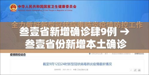 叁壹省新增确诊肆9例 → 叁壹省份新增本土确诊