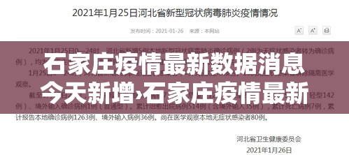 石家庄疫情最新数据消息今天新增›石家庄疫情最新数据消息今天新增病例