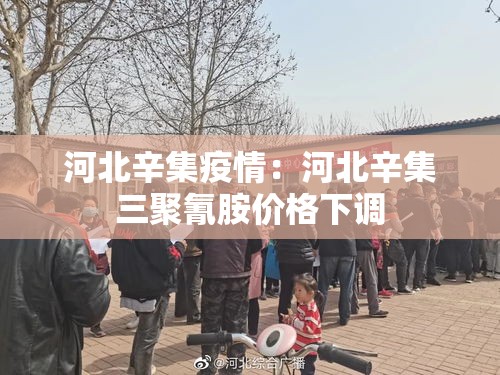 河北辛集疫情：河北辛集三聚氰胺价格下调