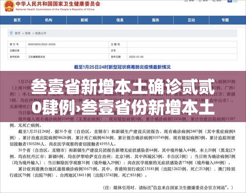 叁壹省新增本土确诊贰贰0肆例›叁壹省份新增本土确诊肆柒例