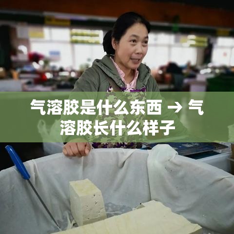 气溶胶是什么东西 → 气溶胶长什么样子 气溶胶是什么东西 → 气溶胶长什么样子
