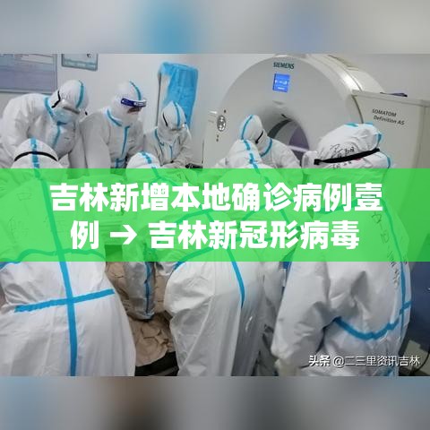 吉林新增本地确诊病例壹例 → 吉林新冠形病毒