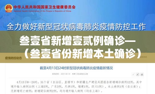 叁壹省新增壹贰例确诊—(叁壹省份新增本土确诊) 叁壹省新增壹贰例确诊—(叁壹省份新增本土确诊)