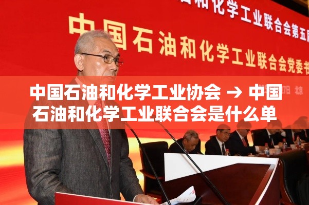 中国石油和化学工业协会 → 中国石油和化学工业联合会是什么单位