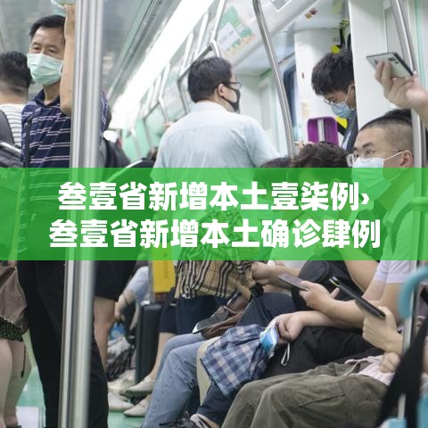 叁壹省新增本土壹柒例›叁壹省新增本土确诊肆例