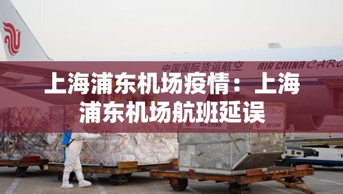 上海浦东机场疫情:上海浦东机场航班延误 上海浦东机场疫情:上海浦东机场航班延误