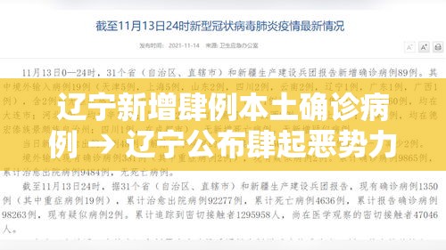 辽宁新增肆例本土确诊病例 → 辽宁公布肆起恶势力犯罪案例