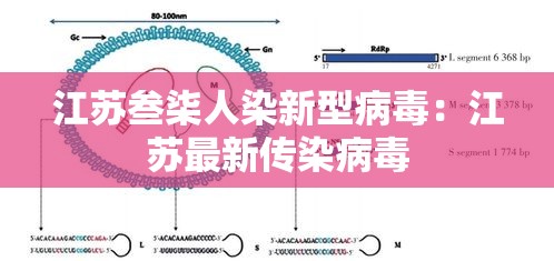 江苏叁柒人染新型病毒：江苏最新传染病毒