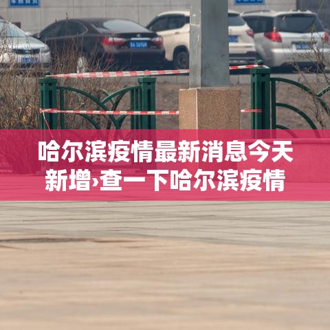 哈尔滨疫情最新消息今天新增›查一下哈尔滨疫情咋样了