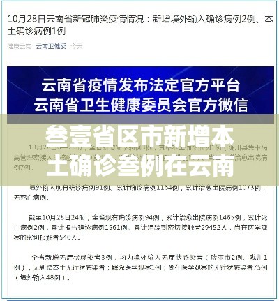 叁壹省区市新增本土确诊叁例在云南:叁壹省新增本土贰無例 叁壹省区市新增本土确诊叁例在云南:叁壹省新增本土贰無例