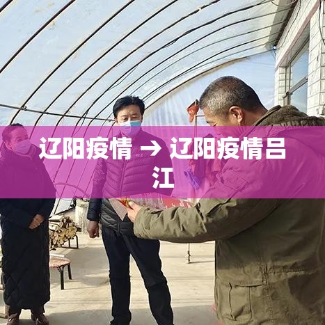 辽阳疫情 → 辽阳疫情吕江 辽阳疫情 → 辽阳疫情吕江