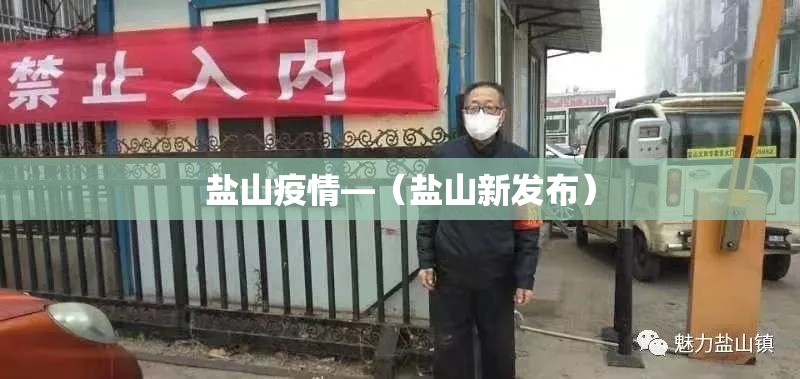 盐山疫情—(盐山新发布) 盐山疫情—(盐山新发布)