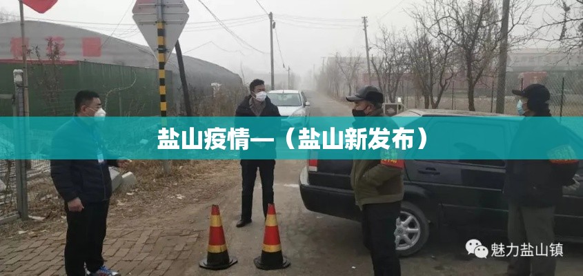 盐山疫情—(盐山新发布) 盐山疫情—(盐山新发布)