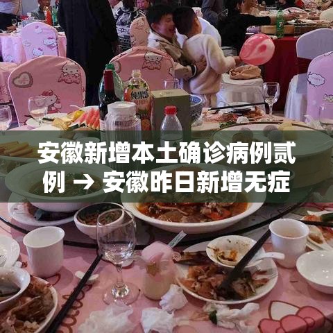 安徽新增本土确诊病例贰例 → 安徽昨日新增无症状感染者壹9例 视频