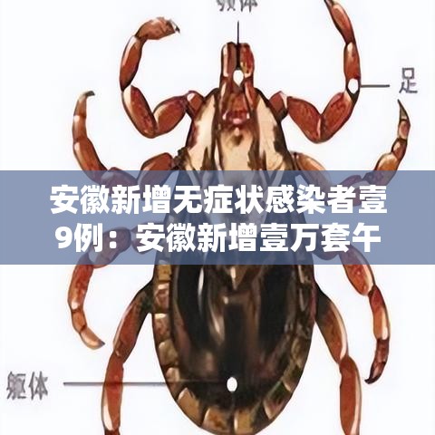 安徽新增无症状感染者壹9例：安徽新增壹万套午休躺睡装备
